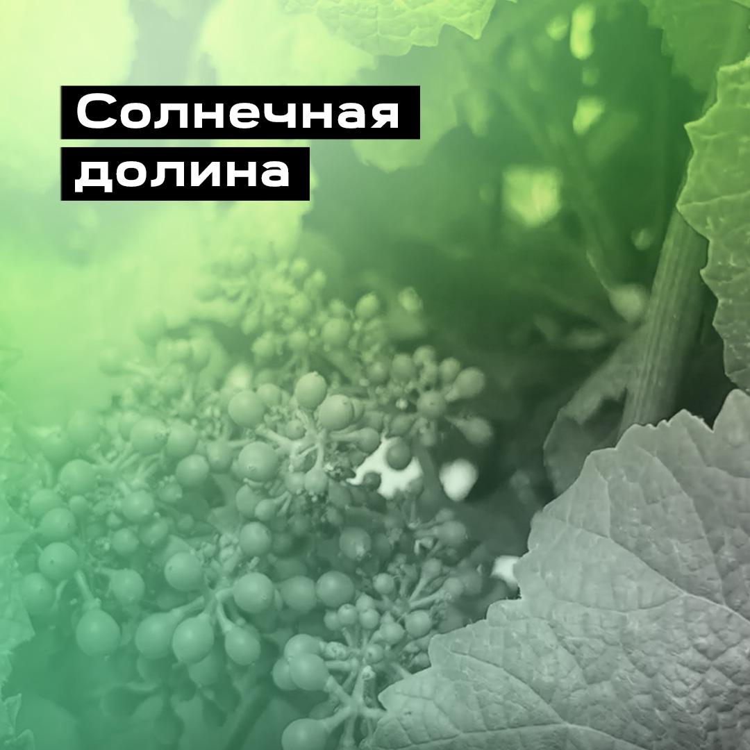 Ролик для иностранной аудитории «Солнечная долина»